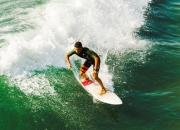 败北首场状态出色，阿森纳观众沸腾！，莎拉波娃重返赛场气势如虹延续