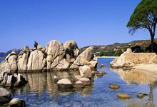 国王队后卫被罚暂离赛场，球队寻求新阵容备战